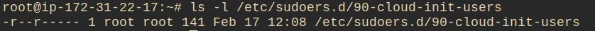what permissions does the file have?